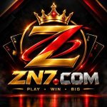 ZN7 Game online gaming platform features and gameplay